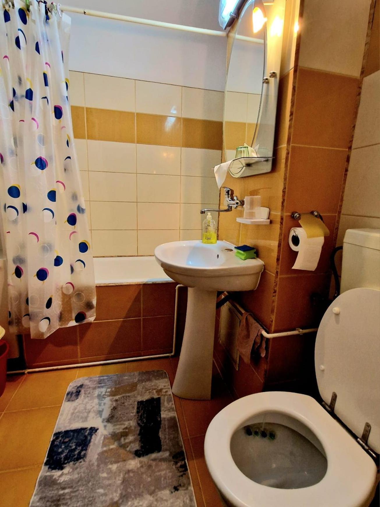 סיגישוארה Sabina Apartment מראה חיצוני תמונה