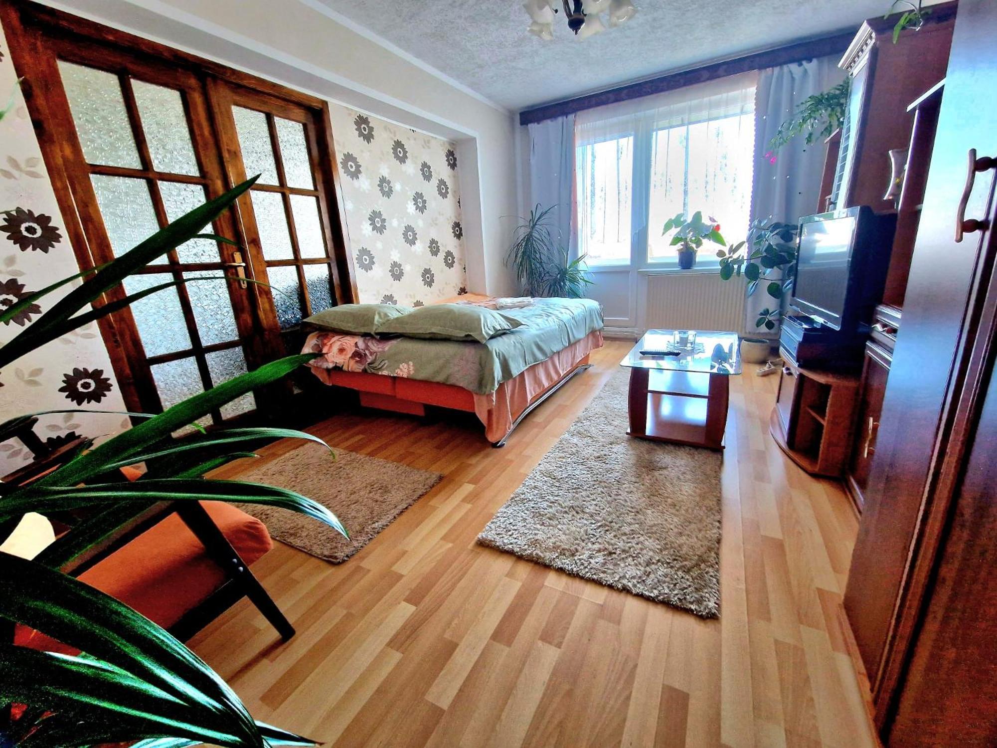 סיגישוארה Sabina Apartment מראה חיצוני תמונה